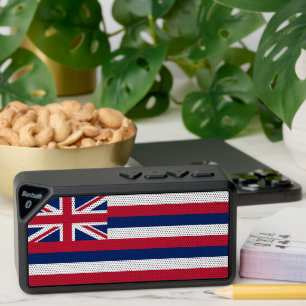 Bluetooth speakers with flag of Hawaii, USA