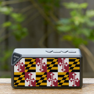 Bluetooth speakers with flag of Maryland, USA