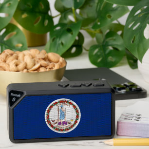 Bluetooth speakers with flag of Virginia State