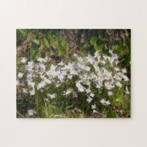 Bluets Tiny Blue Flowers Oil Photo Painting  Jigsaw Puzzle