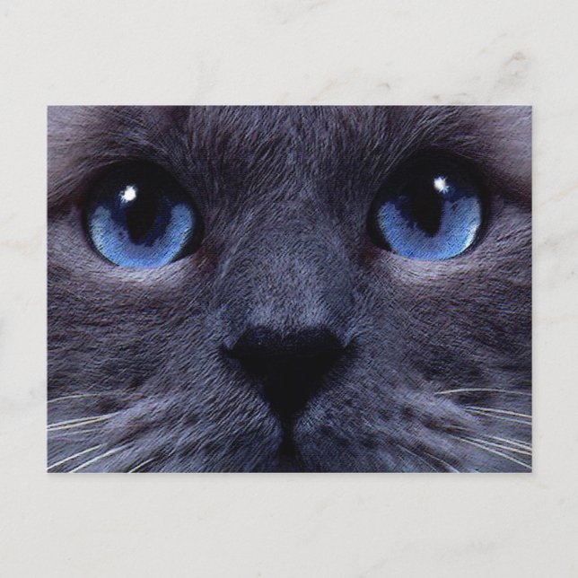 blueyes postcard (Front)