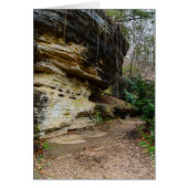 Bluff Lined Walkway (Front)