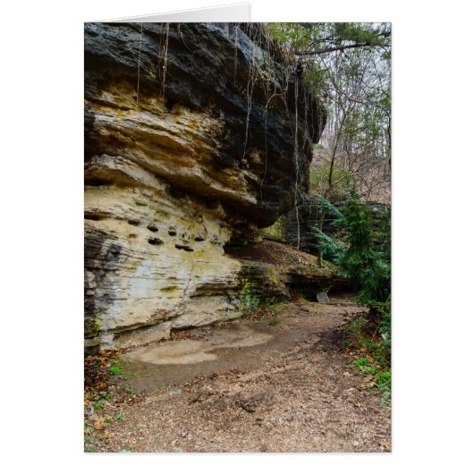 Bluff Lined Walkway Cards (Front)