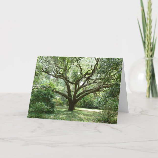 Bluffton Summer Afternoon Card (Front)