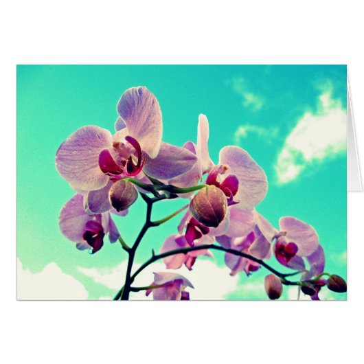 Blumen Cards (Front Horizontal)