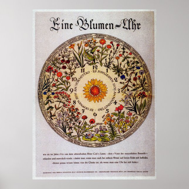 Blumenuhr Flower Clock 2 Vintage Art Poster (Front)