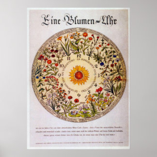 Blumenuhr   Flower Clock Poster