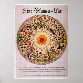 Blumenuhr Flower Clock Vintage Art Poster