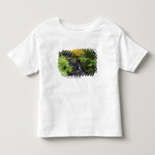Blurred Rock Waterfall, Maple Green & Orange Trees Toddler T-shirt