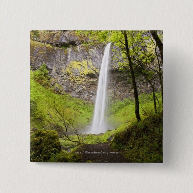 Blurred Waterfall around lush Greenery in Oregon Pinback Button (Front)