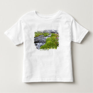 Blurry River with Yellow White Pink Wildflowers Toddler T-shirt