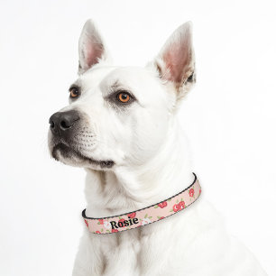 Blush and Coral Dainty Floral Print Custom Name Pet Collar