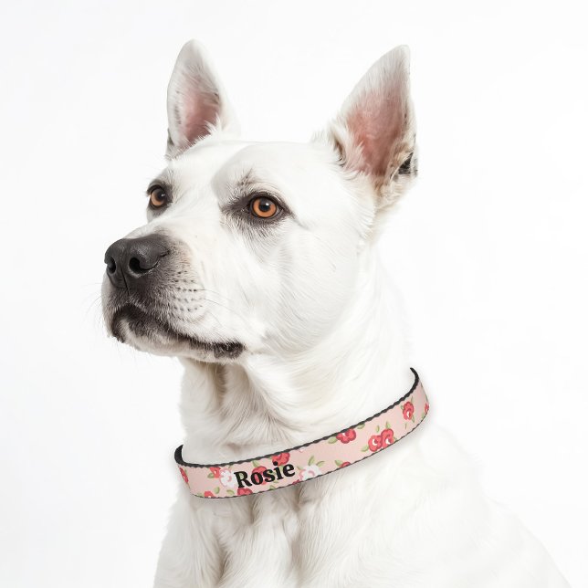 Blush and Coral Dainty Floral Print Custom Name Pet Collar (Creator Uploaded)