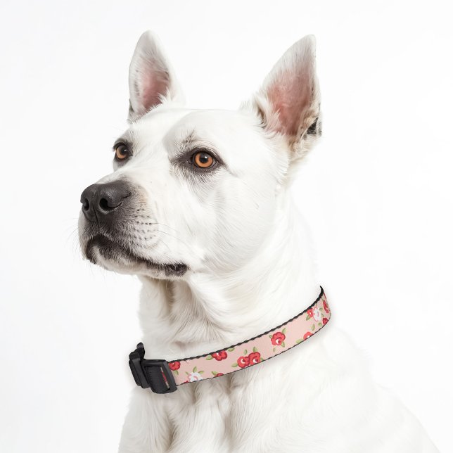 Blush and Coral Dainty Floral Print Pet Collar (Creator Uploaded)