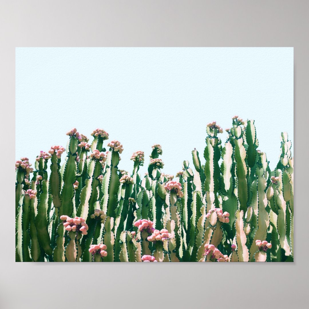 Blush Cactus Poster Zazzle