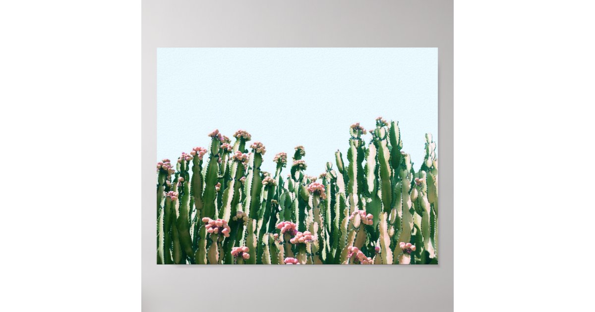 Blush Cactus Poster Zazzle