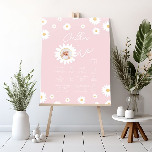 Blush Daisy 1st Birthday Milestone Chart Sign (Creator Uploaded)