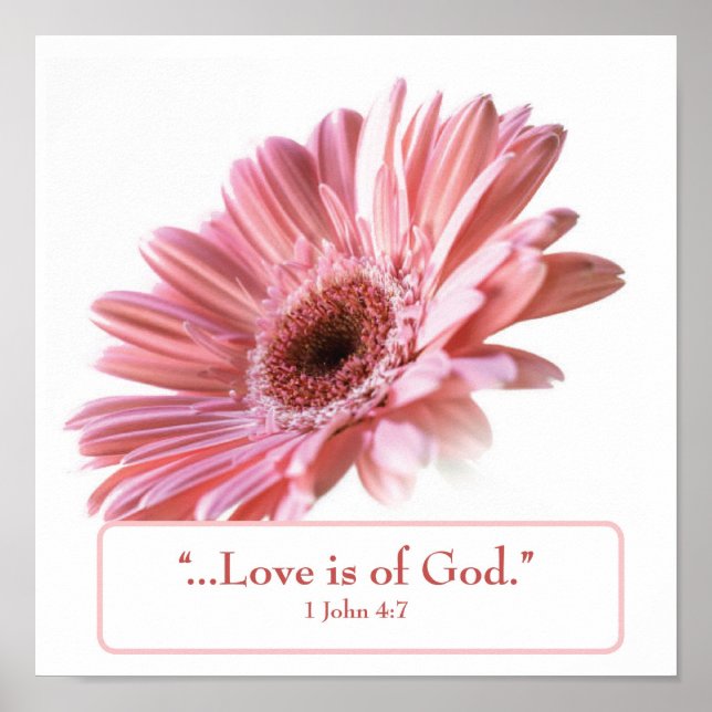 "Blush" Daisy Poster (Front)