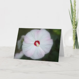 Blush Hibiscus Card