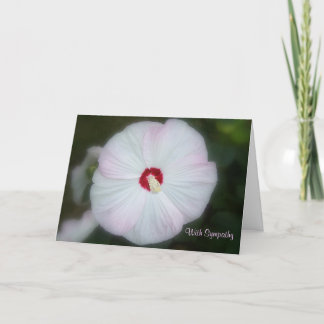 Blush Hibiscus Card