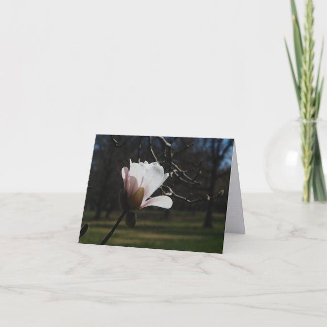 Blush Magnolia Bloom Fine Art Note Cards – Elegant (Front)