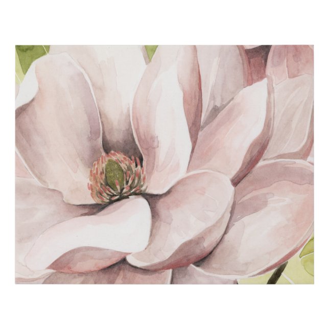 Blush Magnolia Flowers Faux Canvas Print (Front)