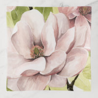 Blush Magnolia Flowers
