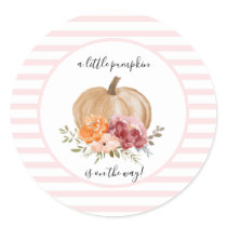 Blush Our Little Pumpkin is On The Way Stickers