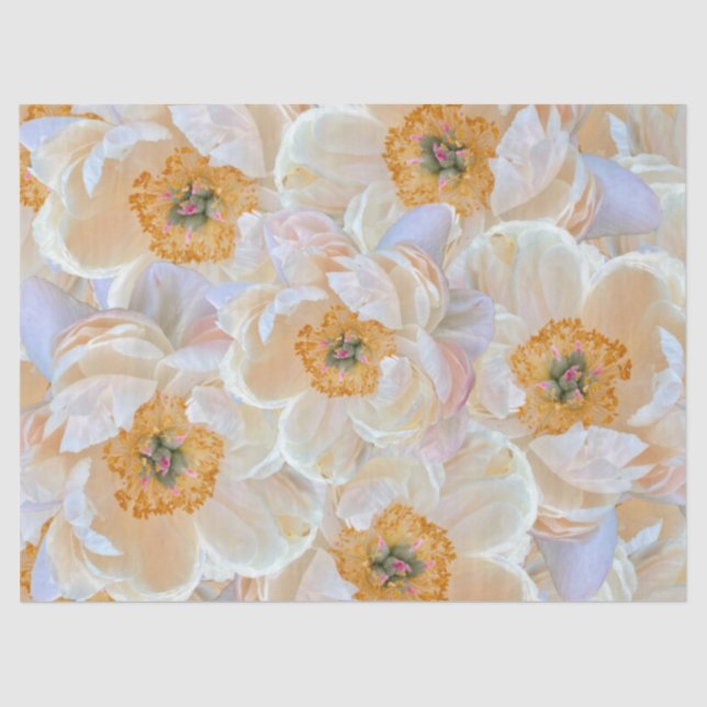 Blush Peony Tissue Paper (Front)