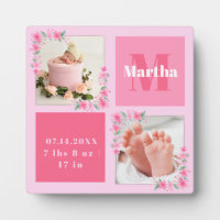 Blush Photo Welcoming Newborn Baby Girl Birth Stat