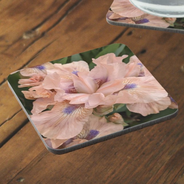 Blush Pink Bearded Iris Floral Beverage Coaster (In Situ)