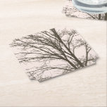 Blush Pink Brown Tree Branches Paper Coaster