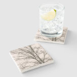 Blush Pink Brown Tree Branches Stone Coaster