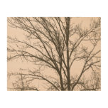 Blush Pink Brown Tree Branches Wood Wall Art