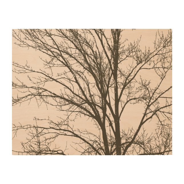 Blush Pink Brown Tree Branches Wood Wall Art (Front)