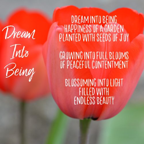 Blush Pink Floral Dream Poem (written by me) Magnet