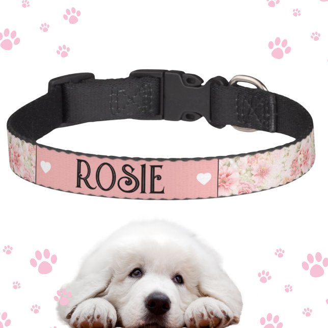 Blush Pink Floral Pet Collar (Creator Uploaded)