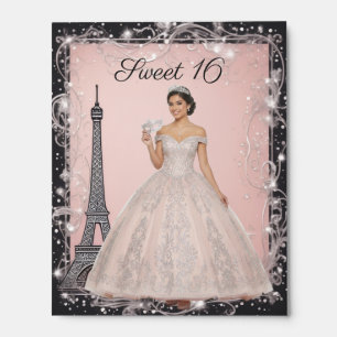 Blush Pink Glitter Parisian Silver Chic Sweet 16  Picture Ledge