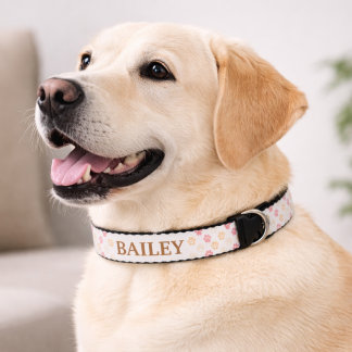 Blush Pink Gold Paw Print Pet Name Collar