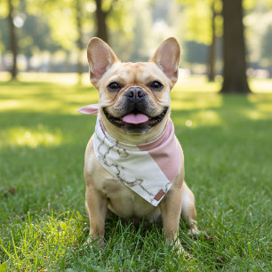 Blush Pink Modern Marble Monogram Elegant Dog Bandana