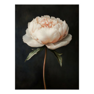 Blush Pink Peony Botanical Painting Poster