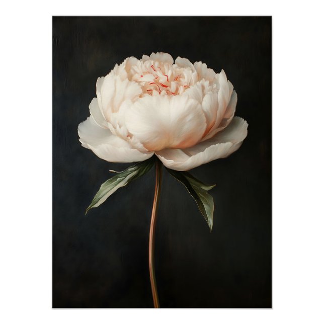 Blush Pink Peony Botanical Painting Poster (Front)
