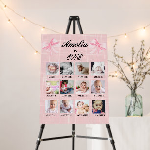 Blush Pink Ribbon Girl First Year Photo Milestone Foam Board