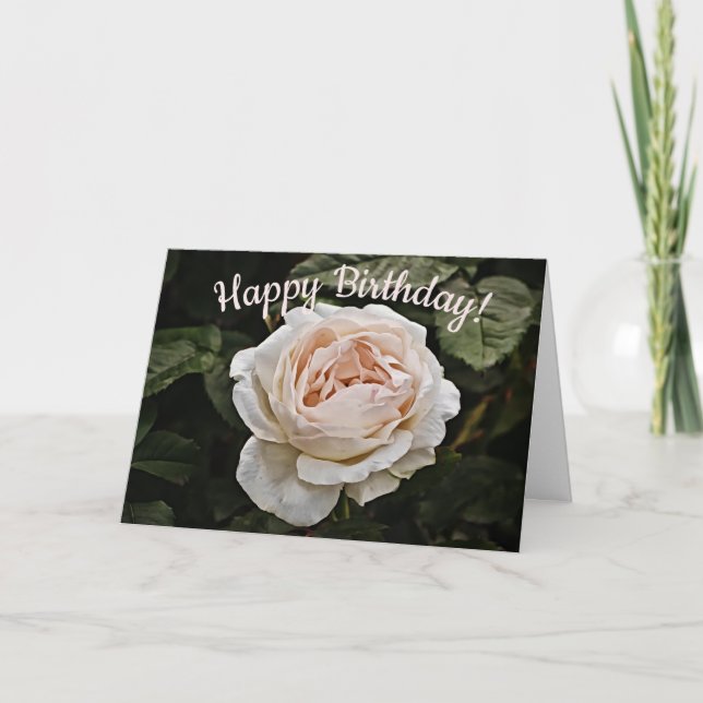Blush Pink Rose Birthday Card (Front)
