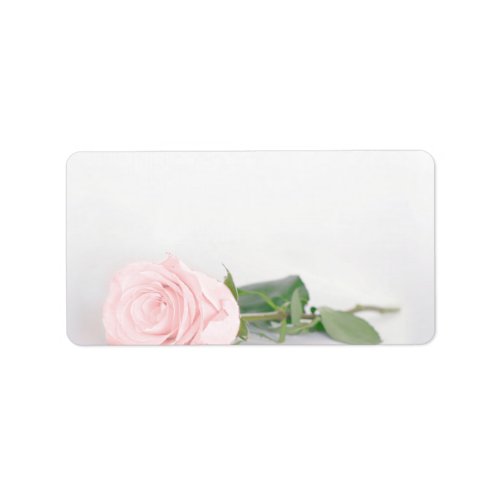 Blush Pink Rose Blank DIY Print Wedding Address Label