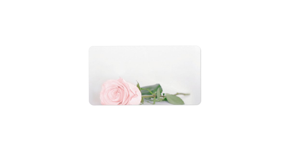 Blush Pink Rose Blank DIY Print Wedding Address Label | Zazzle