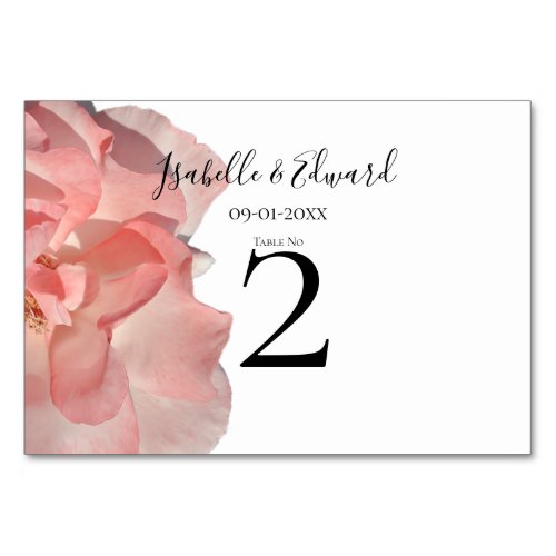 Blush Pink Rose Floral Wedding Reception Guest Table Number