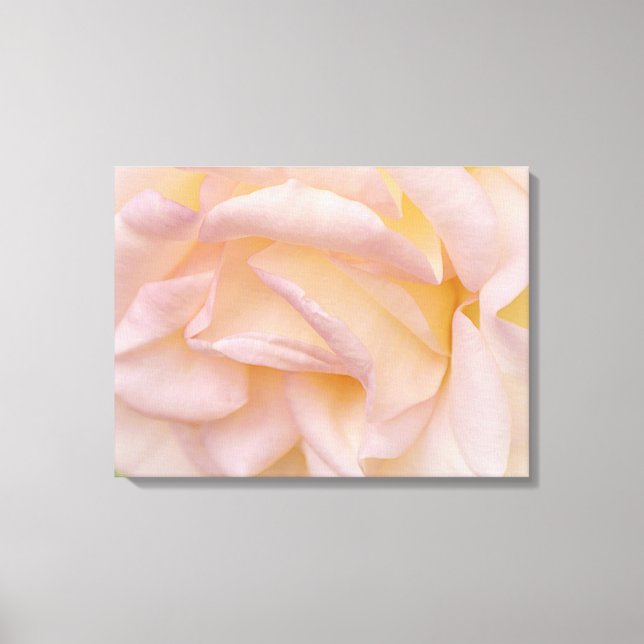 Blush Pink Rose Petals Floral Art Canvas Print (Front)