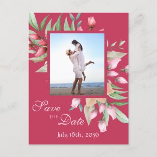 Blush Pink Roses Save the Date Wedding Announcement Postcard