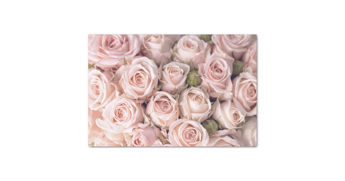 Blush Pink Roses Tissue Paper | Zazzle